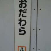 ヒメ日記 2025/05/19 13:27 投稿 けい 丸妻 厚木店