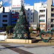 ヒメ日記 2025/12/25 10:05 投稿 けい 丸妻 厚木店