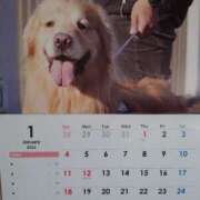 ヒメ日記 2025/12/31 09:56 投稿 けい 丸妻 厚木店