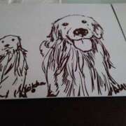 ヒメ日記 2026/01/02 10:01 投稿 けい 丸妻 厚木店