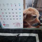 ヒメ日記 2026/01/04 10:09 投稿 けい 丸妻 厚木店