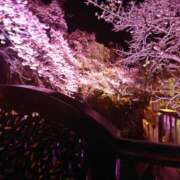 ヒメ日記 2026/01/18 09:59 投稿 けい 丸妻 厚木店