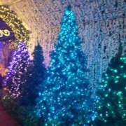 ヒメ日記 2026/02/22 09:45 投稿 けい 丸妻 厚木店