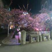 ヒメ日記 2026/04/02 09:47 投稿 けい 丸妻 厚木店