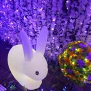 ヒメ日記 2026/04/11 11:22 投稿 けい 丸妻 厚木店