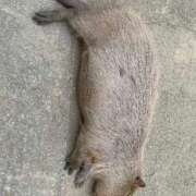 ヒメ日記 2025/04/22 10:24 投稿 ちはる♡超人気嬢♡復活です ラヴァーズ