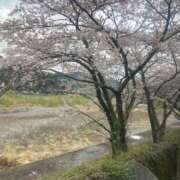 ヒメ日記 2025/04/23 04:33 投稿 そら 山梨人妻デリバリーコレクション