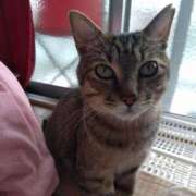 ヒメ日記 2025/06/13 23:01 投稿 そら 山梨人妻デリバリーコレクション