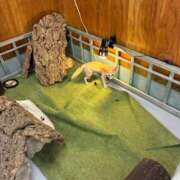 ヒメ日記 2025/08/23 23:09 投稿 そら 山梨人妻デリバリーコレクション