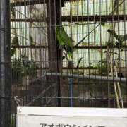 ヒメ日記 2025/08/24 15:24 投稿 そら 山梨人妻デリバリーコレクション