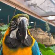 ヒメ日記 2025/10/27 19:31 投稿 そら 山梨人妻デリバリーコレクション