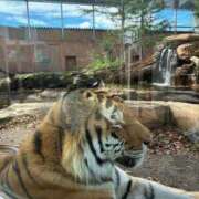 ヒメ日記 2025/10/29 20:51 投稿 そら 山梨人妻デリバリーコレクション