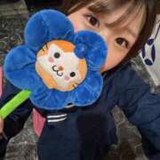 ヒメ日記 2025/05/29 08:32 投稿 みさき ジャパンクラブ富士