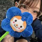 ヒメ日記 2025/05/31 08:51 投稿 みさき ジャパンクラブ富士