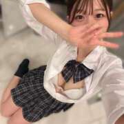 ヒメ日記 2025/06/17 15:42 投稿 みさき ジャパンクラブ富士