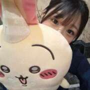 ヒメ日記 2025/06/27 23:02 投稿 みさき ジャパンクラブ富士