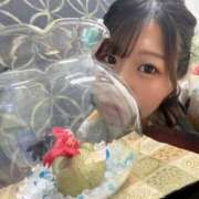 ヒメ日記 2025/07/08 06:42 投稿 みさき ジャパンクラブ富士