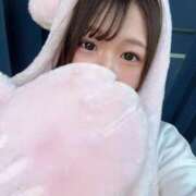 ヒメ日記 2025/08/20 12:42 投稿 みさき ジャパンクラブ富士