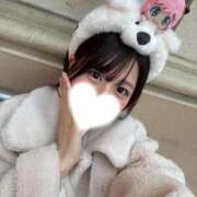 ヒメ日記 2025/11/14 11:48 投稿 みさき ジャパンクラブ富士