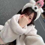 ヒメ日記 2025/11/17 12:02 投稿 みさき ジャパンクラブ富士