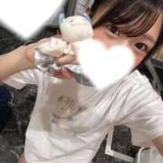 ヒメ日記 2025/11/18 11:42 投稿 みさき ジャパンクラブ富士