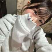 ヒメ日記 2025/11/19 02:02 投稿 みさき ジャパンクラブ富士