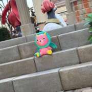 ヒメ日記 2025/11/27 14:22 投稿 みさき ジャパンクラブ富士