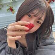 ヒメ日記 2026/01/14 16:52 投稿 みさき ジャパンクラブ富士