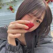 ヒメ日記 2026/01/24 09:04 投稿 みさき ジャパンクラブ富士