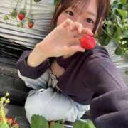 ヒメ日記 2026/01/26 13:12 投稿 みさき ジャパンクラブ富士