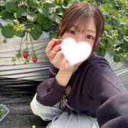 ヒメ日記 2026/01/27 12:40 投稿 みさき ジャパンクラブ富士