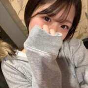 ヒメ日記 2026/01/31 10:30 投稿 みさき ジャパンクラブ富士