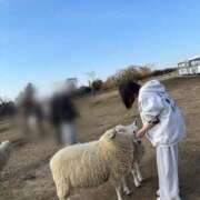 ヒメ日記 2026/02/13 16:02 投稿 みさき ジャパンクラブ富士