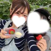 ヒメ日記 2026/02/16 15:12 投稿 みさき ジャパンクラブ富士