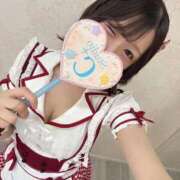 ヒメ日記 2026/02/20 09:32 投稿 みさき ジャパンクラブ富士