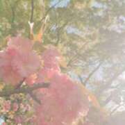 みこと 清楚系S級美女！ 𝕊さん ウエスト・コム