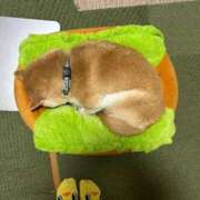 ヒメ日記 2026/06/12 12:25 投稿 みう THE ESUTE HOUSE 柴田