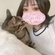 ヒメ日記 2025/05/26 23:31 投稿 ちろる Linda＆Linda(リンダリンダ)