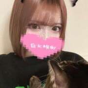 ヒメ日記 2025/08/05 05:01 投稿 ちろる Linda＆Linda(リンダリンダ)