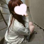 ヒメ日記 2025/07/09 14:50 投稿 西園みゆき JKリフレ東京 秋葉原本店