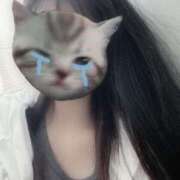 ヒメ日記 2025/09/11 09:50 投稿 るん リニューアル