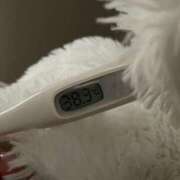 ヒメ日記 2025/11/29 12:59 投稿 伊藤あい 多恋人倶楽部