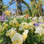 ヒメ日記 2026/03/26 18:00 投稿 のぞみ 横浜泡洗体デラックスエステ