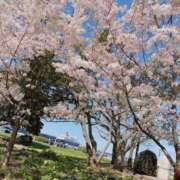 ヒメ日記 2026/03/27 16:51 投稿 のぞみ 横浜泡洗体デラックスエステ