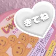 ヒメ日記 2025/08/03 14:50 投稿 のどか SPIN(スピン)