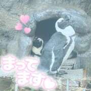 ヒメ日記 2025/08/24 12:20 投稿 のどか SPIN(スピン)