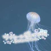 ヒメ日記 2025/08/27 15:01 投稿 のどか SPIN(スピン)