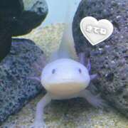 ヒメ日記 2025/09/04 12:20 投稿 のどか SPIN(スピン)