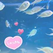 ヒメ日記 2025/09/26 14:12 投稿 のどか SPIN(スピン)