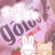 ヒメ日記 2025/09/30 12:20 投稿 のどか SPIN(スピン)